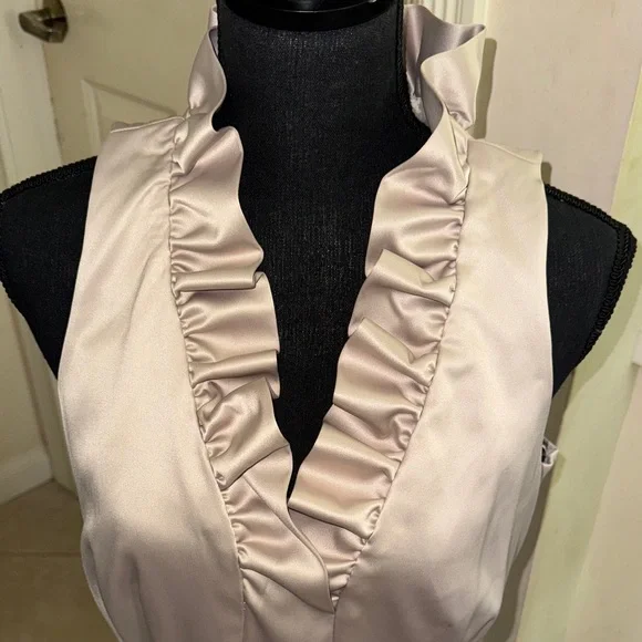 NWT Just Taylor Elegant Sleeveless Ruffle Neck Dress - beige size 12 - Picture 2 of 8